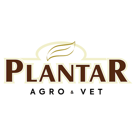 Plantar